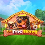 Bocoran RTP Slot Pragmatic The Dog House